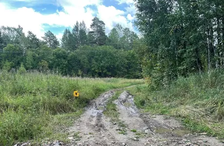 Полиция разыскивает