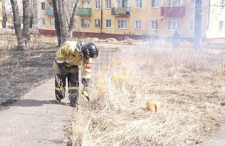 C7994.MP4_snapshot_00.01.616