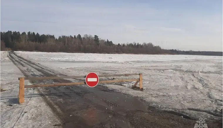 8db8e8e251ddd01e4c6f5fa2fe98f282