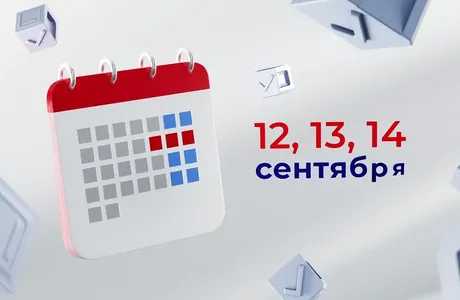выборы