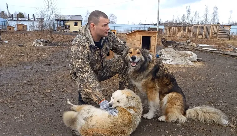 приют  (64).mp4_snapshot_00.29.828