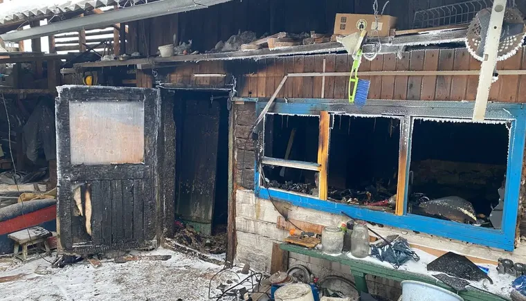 IMG_20260114_133154_777