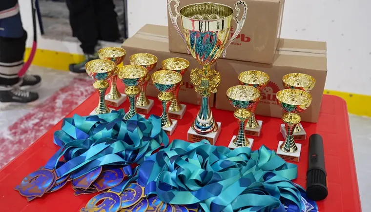 Детский турнир по хоккею