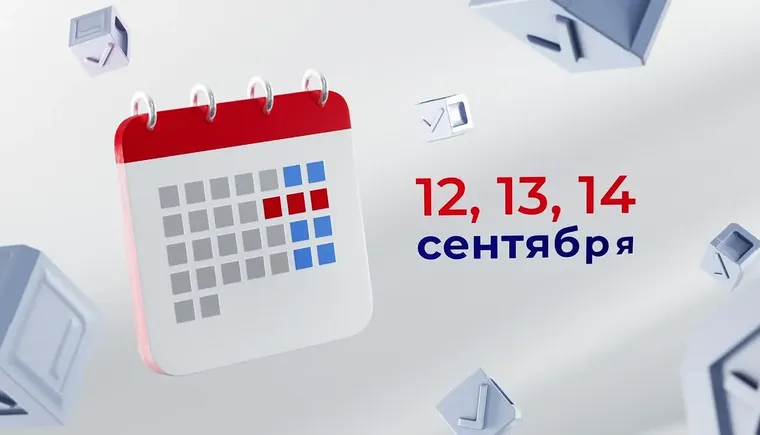 выборы