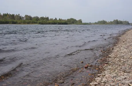 1 (10).MP4_snapshot_00.05.507