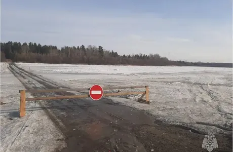 8db8e8e251ddd01e4c6f5fa2fe98f282