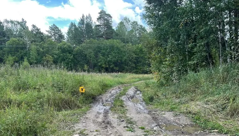 Полиция разыскивает