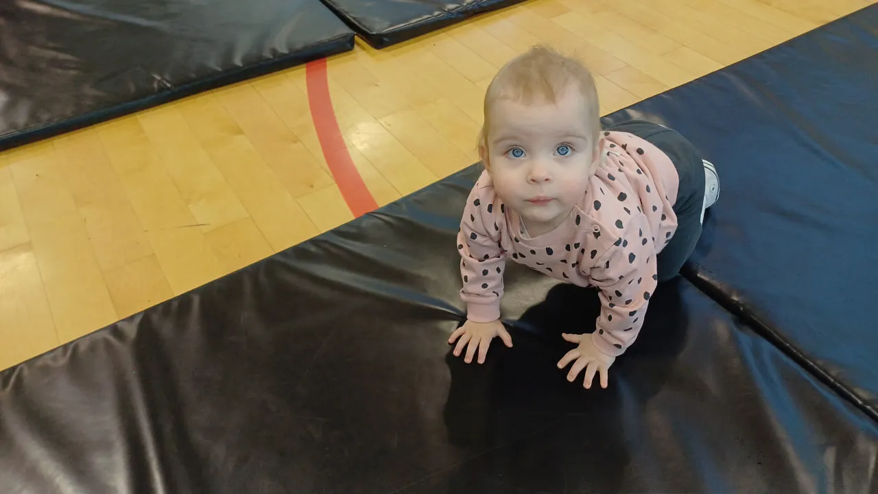 Забег ползунков - 2025